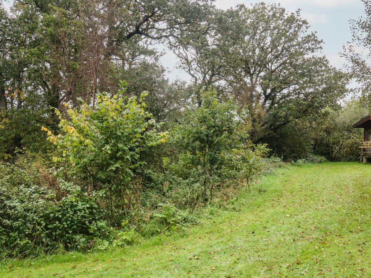 Braeburn Lodge Winkleigh Bagian luar foto