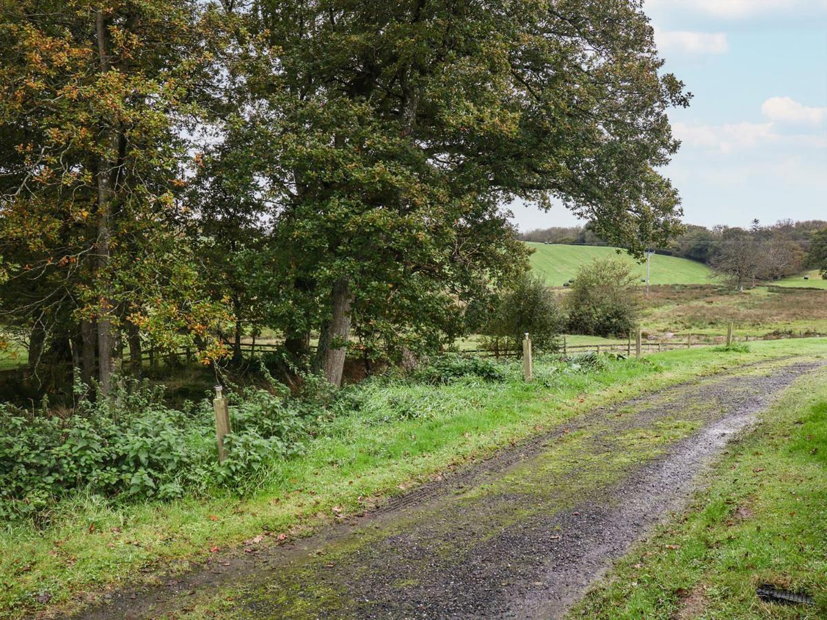 Braeburn Lodge Winkleigh Bagian luar foto