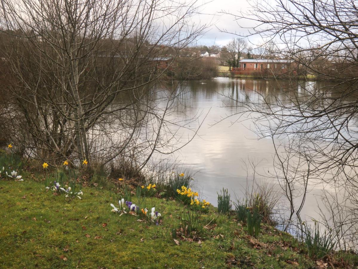 Braeburn Lodge Winkleigh Bagian luar foto